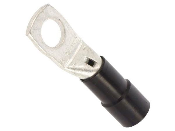 BM008491 Terminals