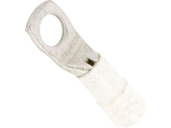 BM00855 Terminals