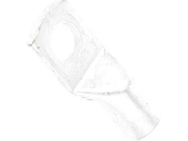 BM019491 Terminals