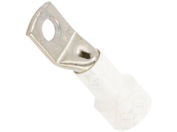 BM05149 Terminals