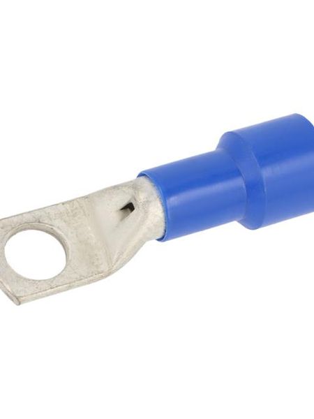 BM00955 Terminals