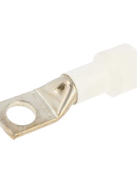 BM05161 Terminals
