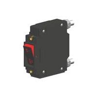 c21x0236513a1i_carling