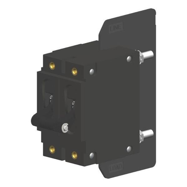 CA2-B0-24-620-121-CG electronic component of Carling