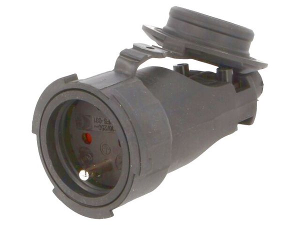 D.3149 electronic component of Pawbol