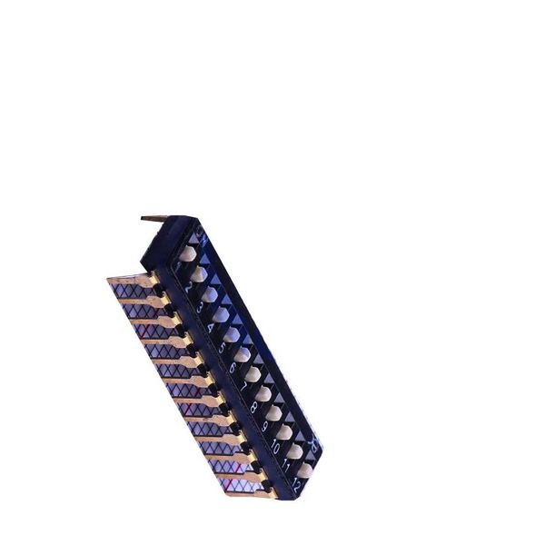 DSIC12LHGET DIP Switches/SIP Switches