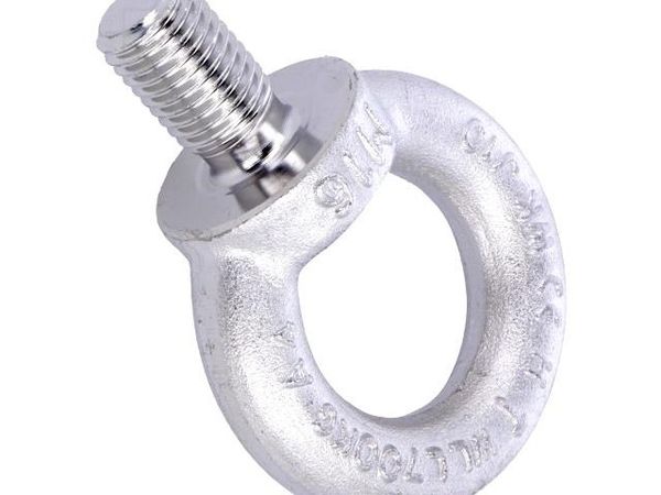 DIN 580-M16-A4 Screws & Fasteners