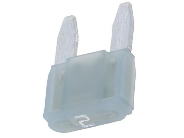 341820  Circuit Protection
