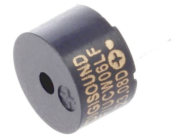 F/UCW 06 electronic component of Digisound