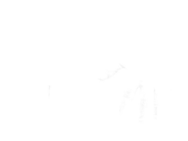 GNB-L 