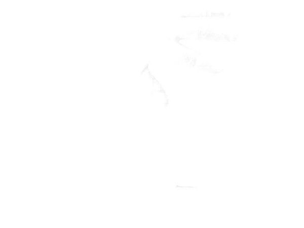 GNB-L Unclassified
