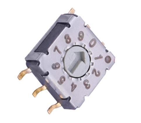 GSDR-10S Coded Rotary Switches