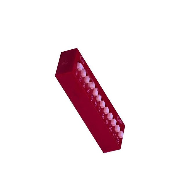 DSWB12LHGET DIP Switches/SIP Switches