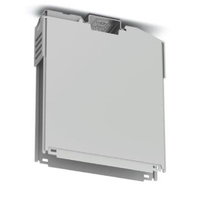ICS20-B100X98-V-7035  Enclosures