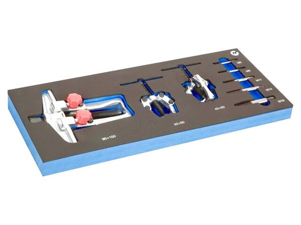 IFF1E021 electronic component of IRIMO