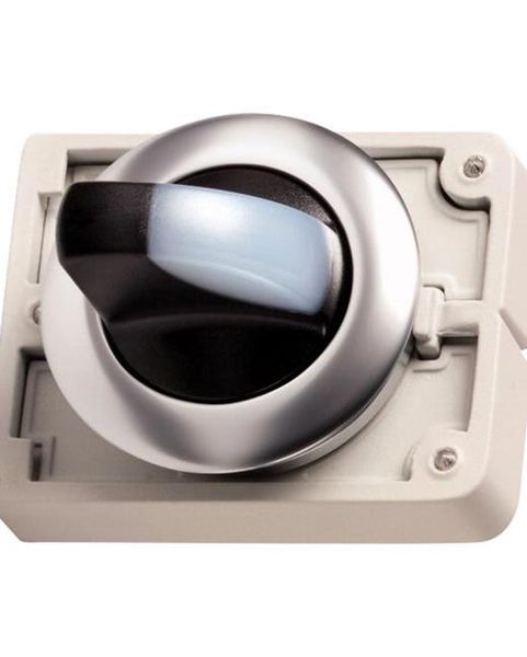 M30C-FWLK3-W Switch Actuators