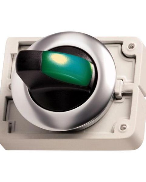 M30C-FWRLK3-G Switch Actuators