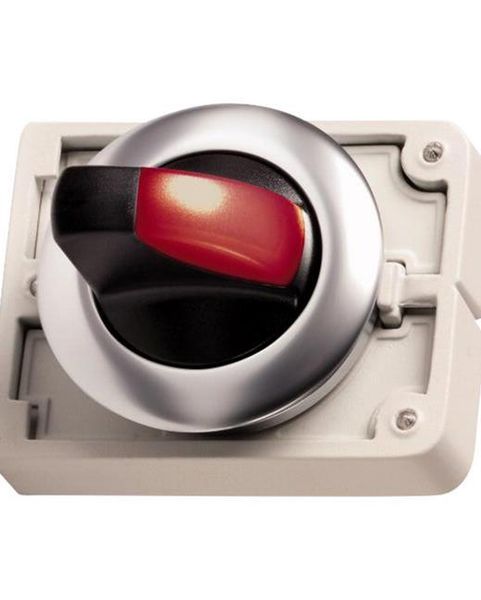 M30C-FWRLK-R Switch Actuators