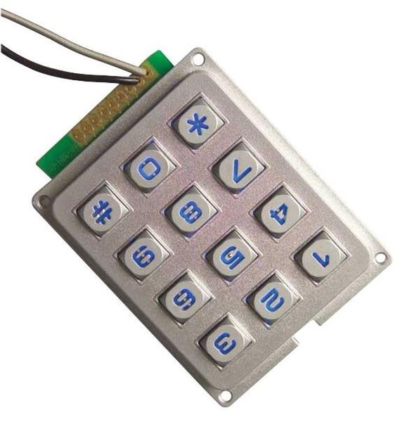 MCAK304NSSLWPMMYLGKT 