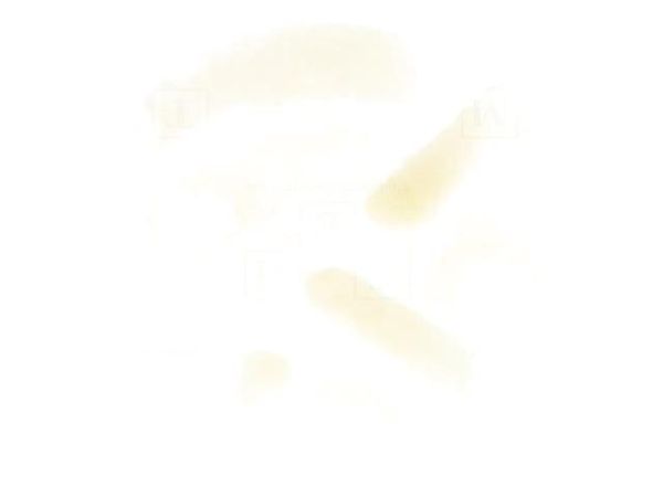 MO445 