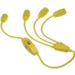 molex_1447win_xon_06