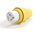 molex_29w49mb_xon_06