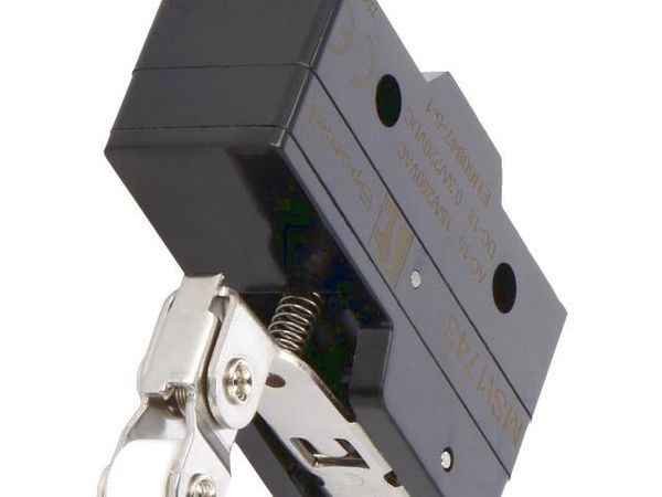 MS1743 Basic / Snap Action Switches