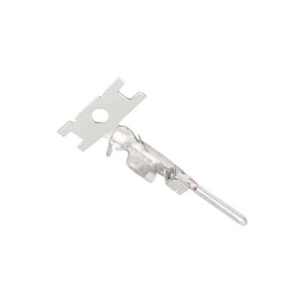 MX80P10K4F1  Connectors