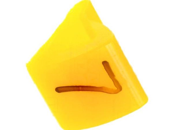 MZ-1/7 Wire Labels & Markers