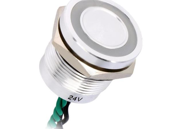PS193P10Y01G24L Control Switches