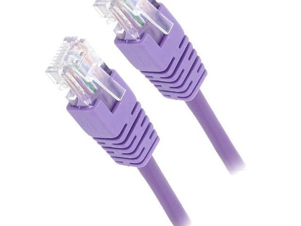 PP12-0.25M/V Ethernet Cables / Networking Cables