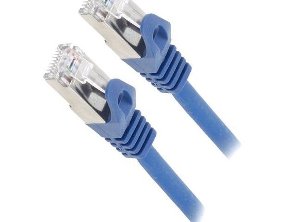 PP6A-LSZHCU-B-0.25M Ethernet Cables / Networking Cables