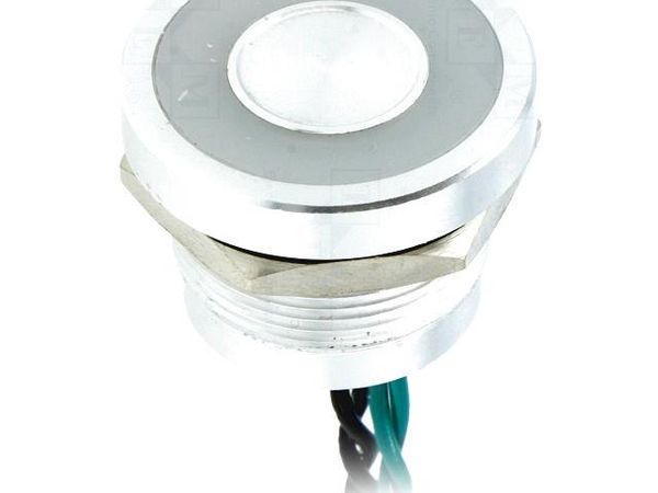 PS225P10Y01G24L Control Switches