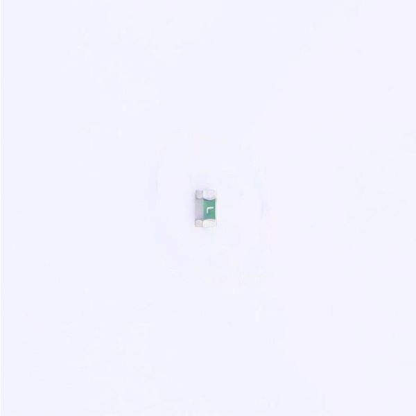 R06.000.2.5 Surface Mount Fuses