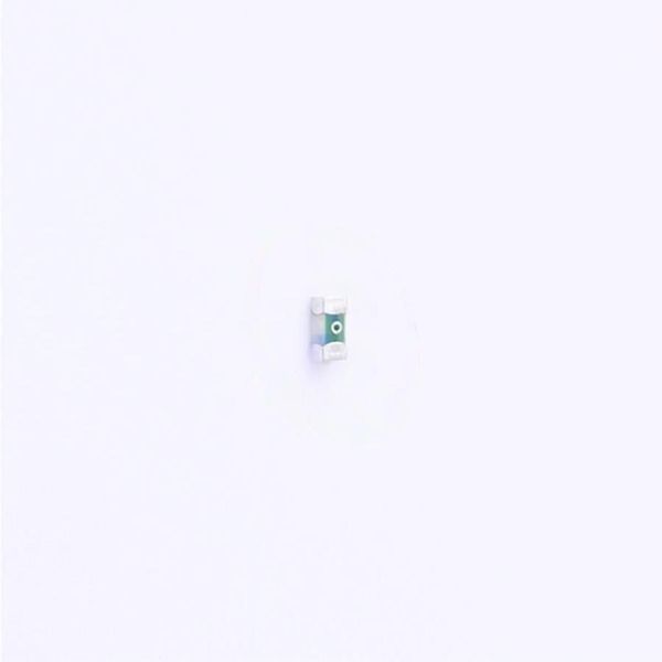 R06.100.3 Surface Mount Fuses