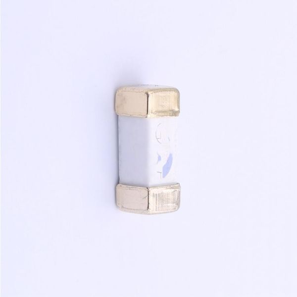 R1245.60 Surface Mount Fuses