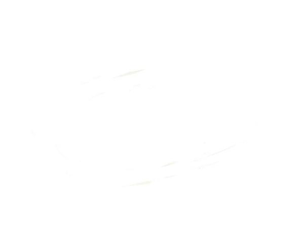 REH-0508 