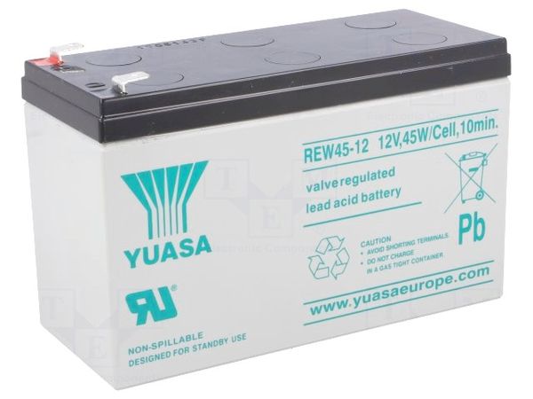 REW45-12 electronic component of EnerSys