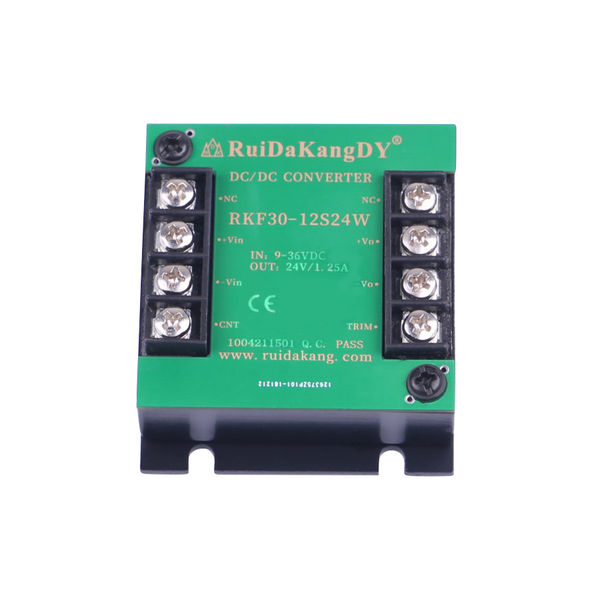 RKF30-12S24W electronic component of RuiDaKangDY