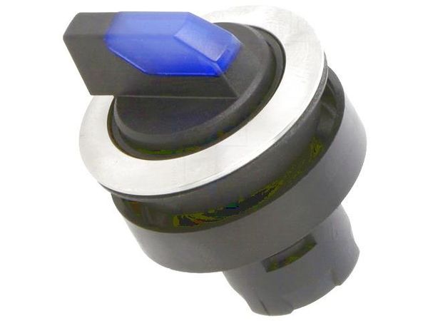 RRJVASTAL_BL Pushbutton Switches