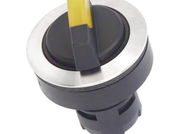 RRJVASTAL_GB Pushbutton Switches