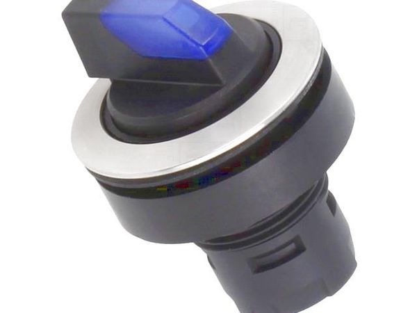 RRJVAWBL_BL Pushbutton Switches