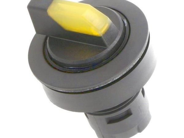 RRJWBLSW_GB Pushbutton Switches