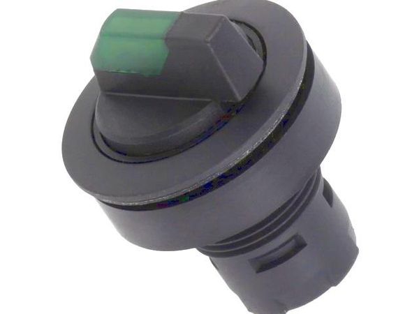 RRJWBLSW_GN Pushbutton Switches