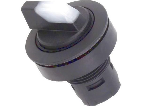 RRJWBLSW_KL Pushbutton Switches