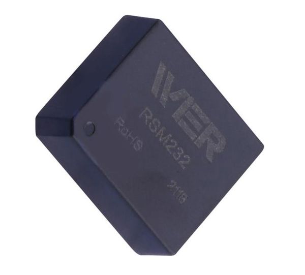 RSM232 Interface Modules