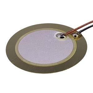 same-sky_ceb2021l100