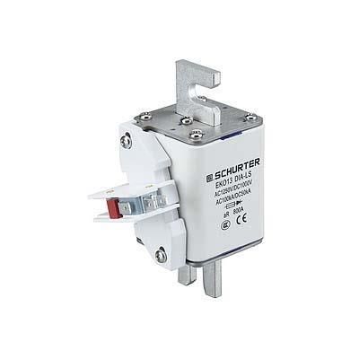 schurter_80600248