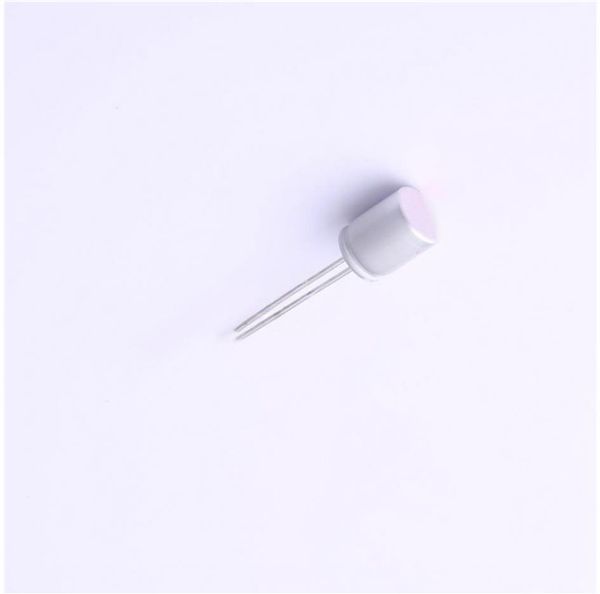SPT1AM101E08ORVZC Aluminium Organic Polymer Capacitors