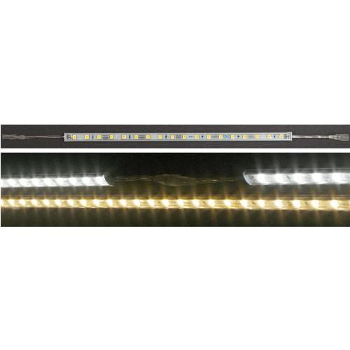 TBL4520-18W12-XPW-012W-WP 